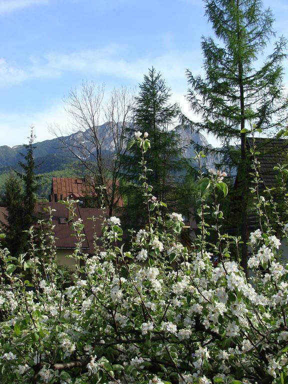 Holiday Home Patchwork Barn Закопане Екстериор снимка